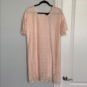 NWT The Limited Soft Pink Lace Dress